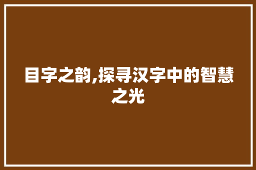 目字之韵,探寻汉字中的智慧之光 职场应用