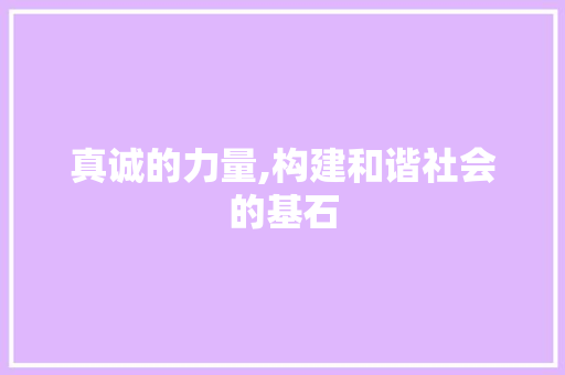 真诚的力量,构建和谐社会的基石