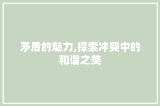 矛盾的魅力,探索冲突中的和谐之美 范文之家