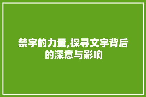 禁字的力量,探寻文字背后的深意与影响 优秀范文