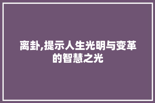 离卦,提示人生光明与变革的智慧之光