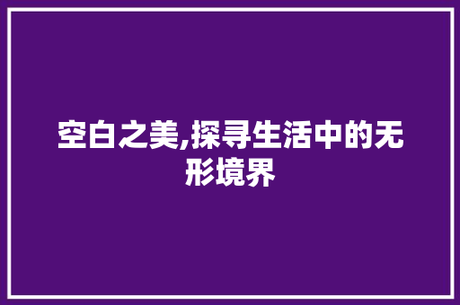 空白之美,探寻生活中的无形境界 优秀范文