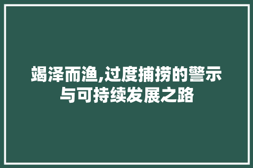 竭泽而渔,过度捕捞的警示与可持续发展之路 商业计划书范文