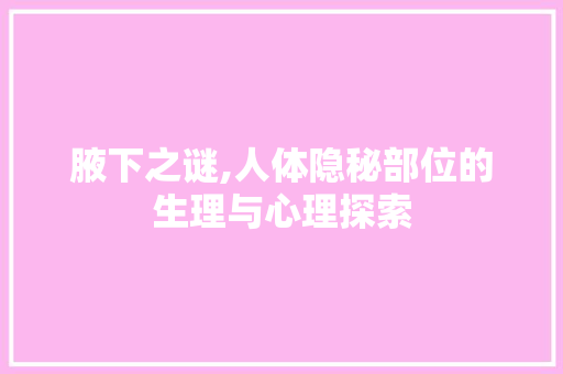 腋下之谜,人体隐秘部位的生理与心理探索 范文宝典
