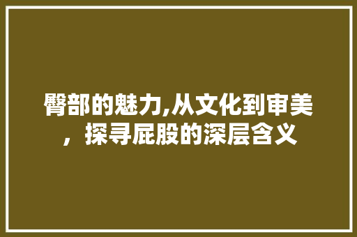 臀部的魅力,从文化到审美，探寻屁股的深层含义