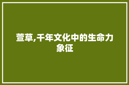 萱草,千年文化中的生命力象征 优秀范文
