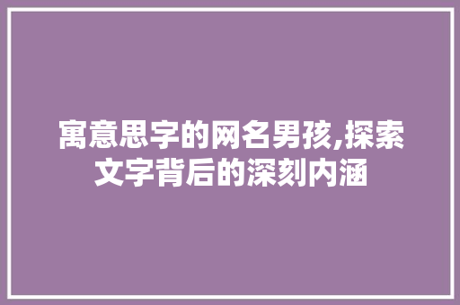 寓意思字的网名男孩,探索文字背后的深刻内涵