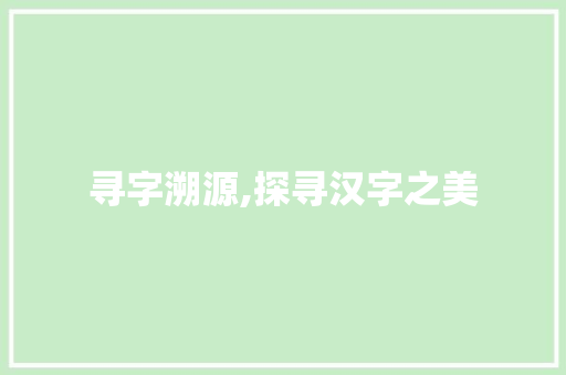 寻字溯源,探寻汉字之美