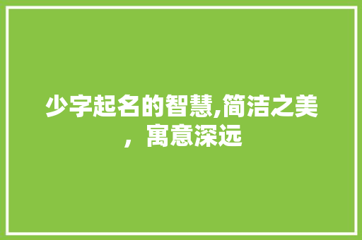少字起名的智慧,简洁之美，寓意深远 范文资源