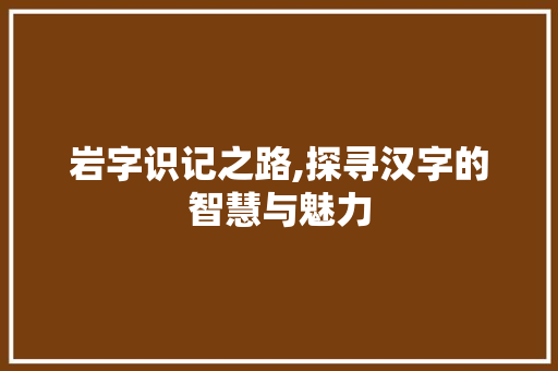 岩字识记之路,探寻汉字的智慧与魅力