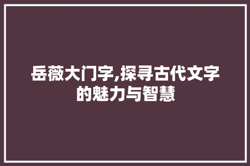 岳薇大门字,探寻古代文字的魅力与智慧