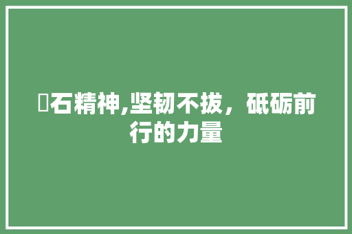 巖石精神,坚韧不拔，砥砺前行的力量