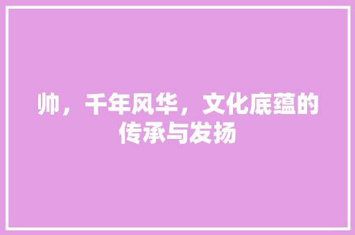 帅，千年风华，文化底蕴的传承与发扬