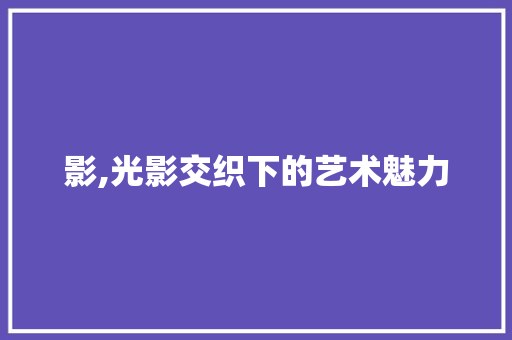 影,光影交织下的艺术魅力