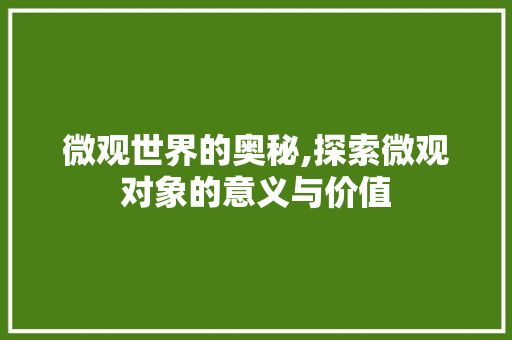 微观世界的奥秘,探索微观对象的意义与价值
