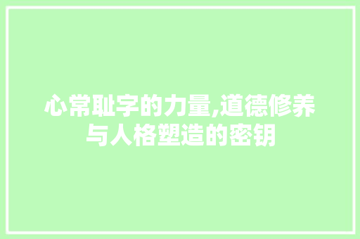 心常耻字的力量,道德修养与人格塑造的密钥 范文精选网
