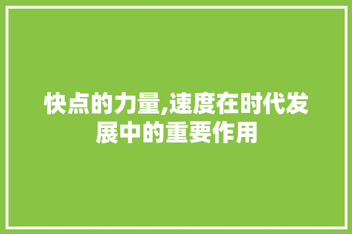 快点的力量,速度在时代发展中的重要作用