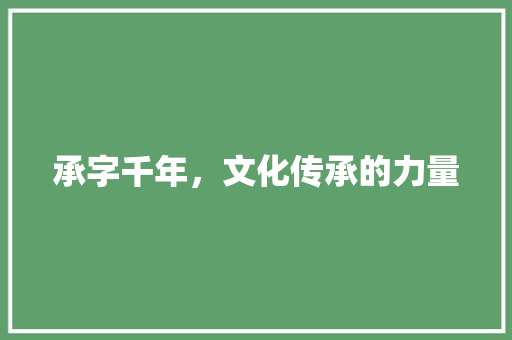 承字千年，文化传承的力量