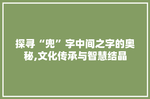 探寻“兜”字中间之字的奥秘,文化传承与智慧结晶