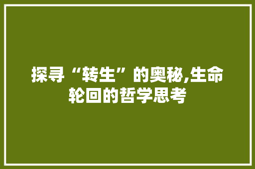 探寻“转生”的奥秘,生命轮回的哲学思考