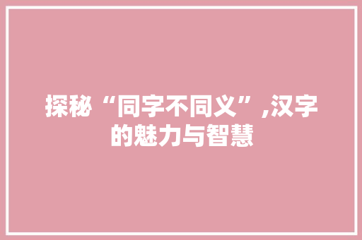探秘“同字不同义”,汉字的魅力与智慧