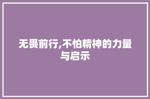 无畏前行,不怕精神的力量与启示 职场应用