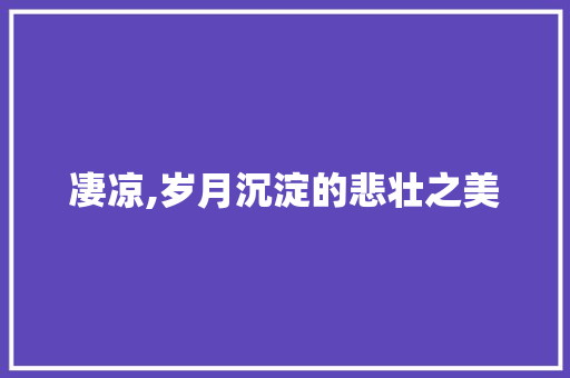 凄凉,岁月沉淀的悲壮之美