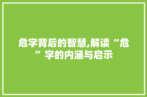 危字背后的智慧,解读“危”字的内涵与启示 范文宝典