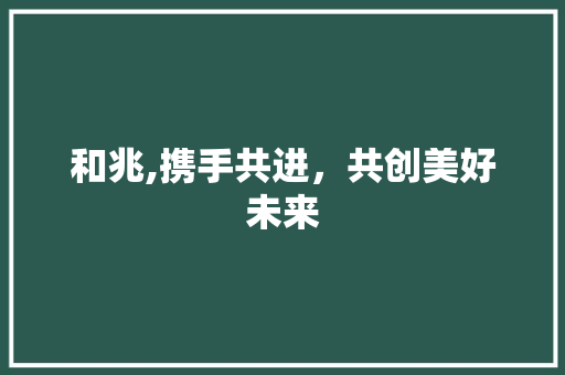 和兆,携手共进，共创美好未来 范文参考
