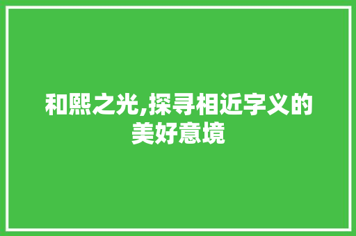 和熙之光,探寻相近字义的美好意境