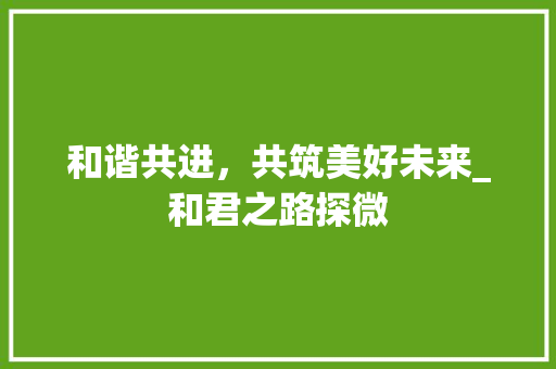 和谐共进，共筑美好未来_和君之路探微