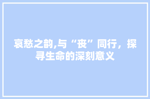 哀愁之韵,与“丧”同行，探寻生命的深刻意义 合同协议