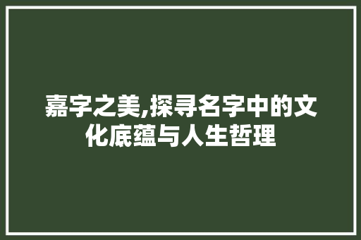嘉字之美,探寻名字中的文化底蕴与人生哲理