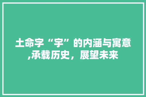 土命字“宇”的内涵与寓意,承载历史，展望未来
