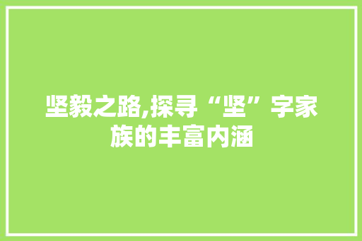 坚毅之路,探寻“坚”字家族的丰富内涵