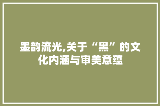墨韵流光,关于“黑”的文化内涵与审美意蕴