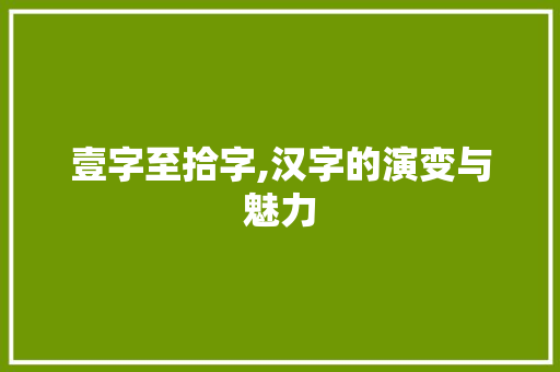 壹字至拾字,汉字的演变与魅力