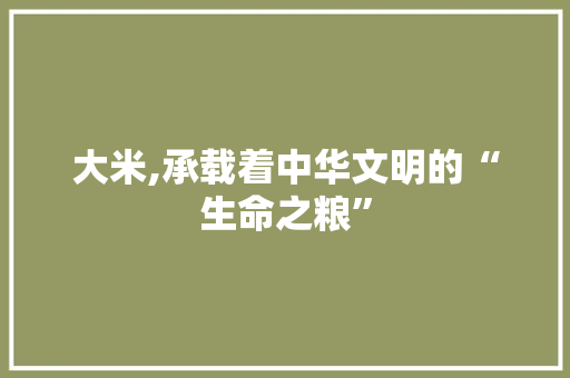 大米,承载着中华文明的“生命之粮”