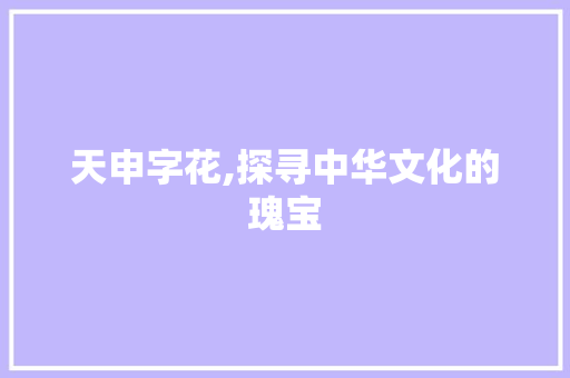天申字花,探寻中华文化的瑰宝