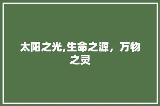 太阳之光,生命之源，万物之灵