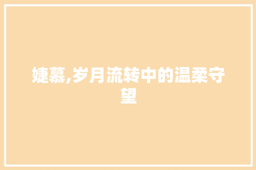 婕慕,岁月流转中的温柔守望