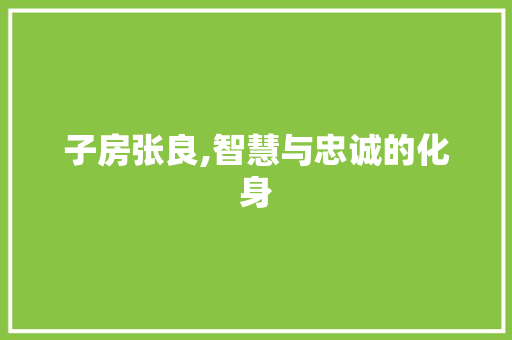 子房张良,智慧与忠诚的化身