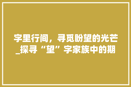 字里行间，寻觅盼望的光芒_探寻“望”字家族中的期盼与愿景