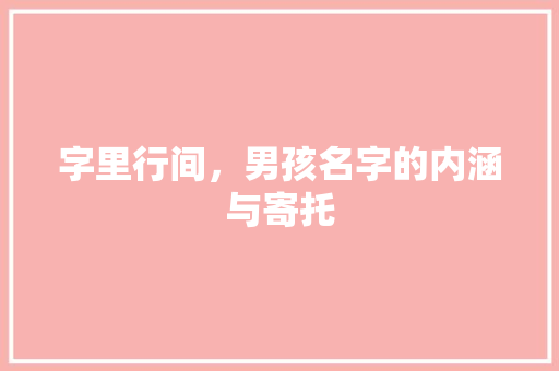 字里行间，男孩名字的内涵与寄托