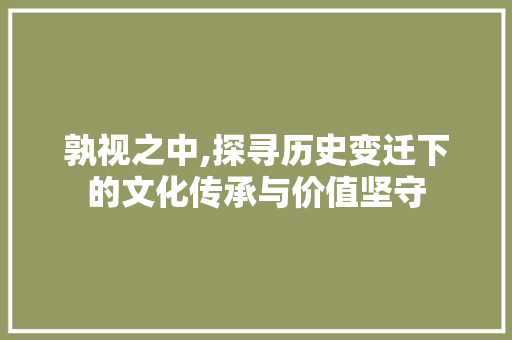 孰视之中,探寻历史变迁下的文化传承与价值坚守