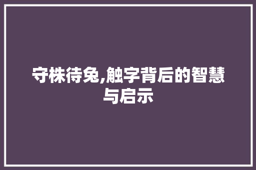 守株待兔,触字背后的智慧与启示