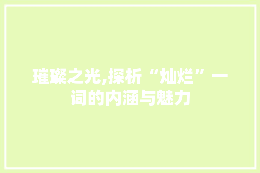璀璨之光,探析“灿烂”一词的内涵与魅力