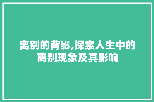离别的背影,探索人生中的离别现象及其影响 职场应用