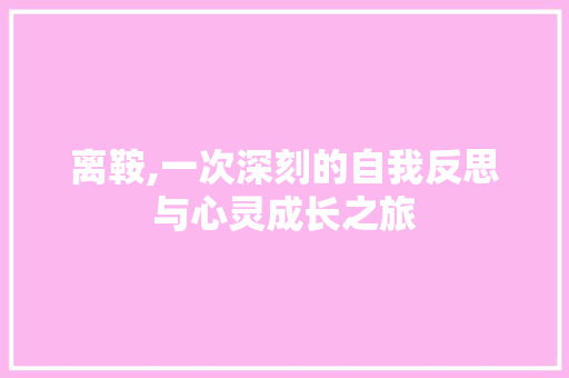 离鞍,一次深刻的自我反思与心灵成长之旅
