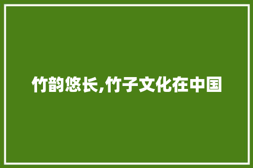竹韵悠长,竹子文化在中国
